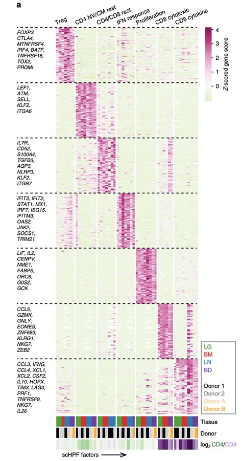 From a list of selected genes, it is possible to visualize the average of each gene expression in each cluster in a heatmap. . Seurat heatmap change color
